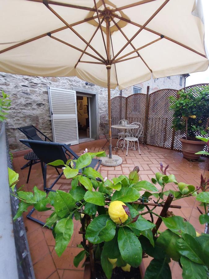 Vila Casina Laura Capannori Exteriér fotografie